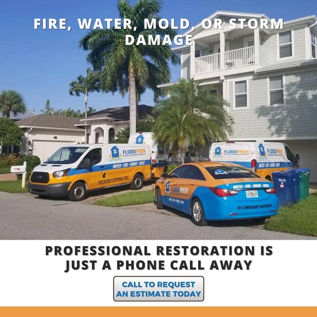 mold-remediation