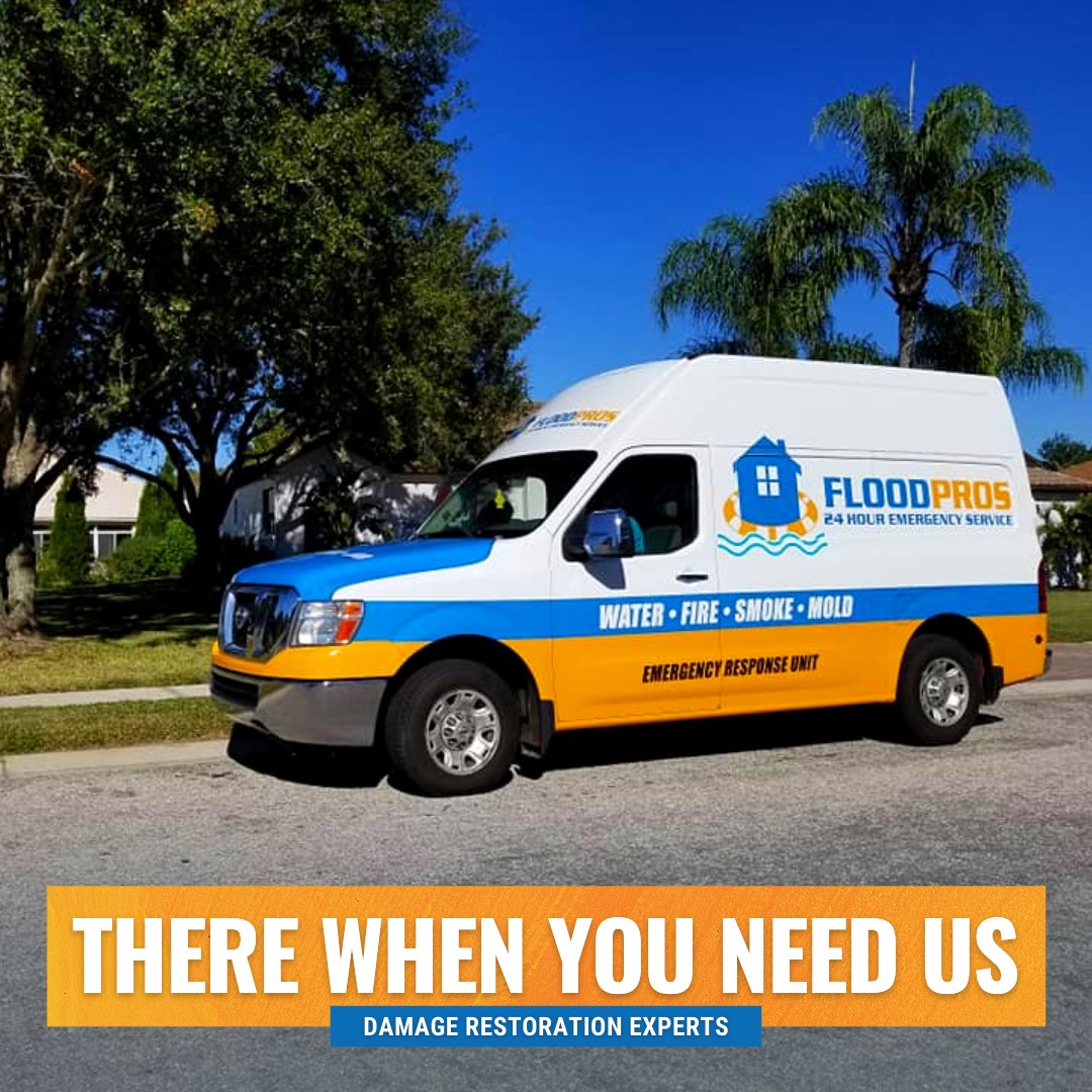 mold-removal